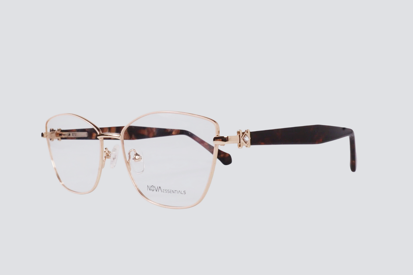 DS-M100